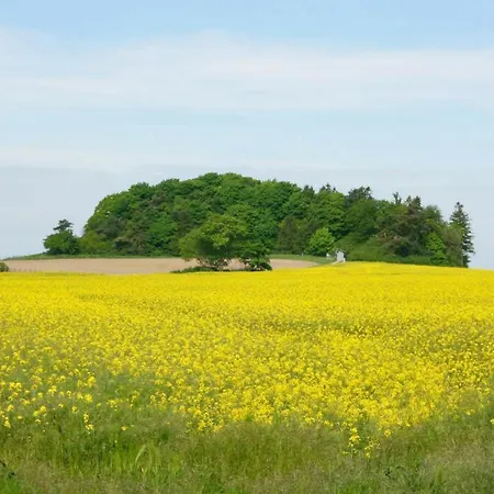 Apartament Naturnah, Mit Terrasse, Garten Und Meerblick - Auf Dem Teschenberg Middelhagen